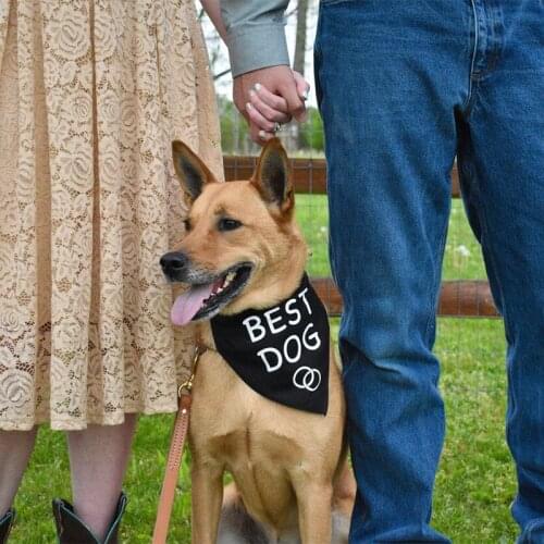 Best Dog bandana wedding Engagement announcement Bridal Shower Bachelor party groom to be Pet Outfit decoration gift Photo props