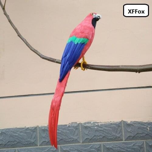 Big real life red parrot model foam&feather simulation parrot bird gift about 60cm xf2472