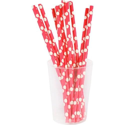 Diligence party Disposable Tableware For Holidays