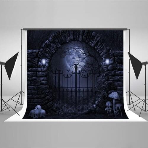 VinylBDS Halloween 10x10ft Photography Background Iron Gate Backgrounds For Photo Studio Moon Skeleton Photo Background