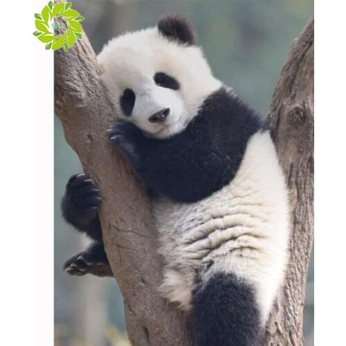 SNANEW Diamond Painting Panda Full Square/Round Diamond Embroidery Animal Pictures Of Rhinestones Diamond Mosaic Home Decoration