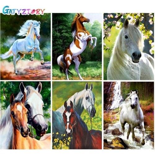 GATYZTORY 60x75cm Frame Horse Diy Oil Painting By Bumbers Kits Animal Abstract Acrylic Paint By numbers For Adults Home Decors
