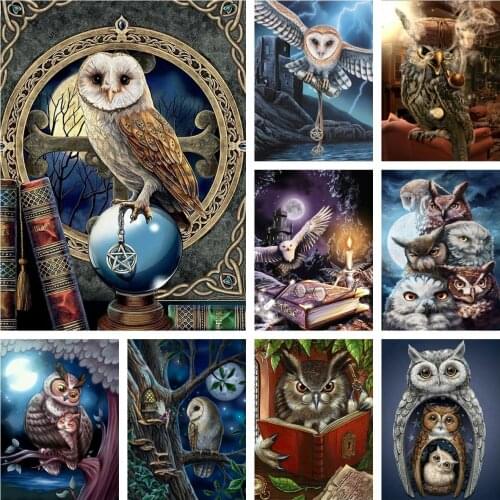 Diamond Painting Owl And Magic 5D DIY Crystal Art Full Drill Cross Stitch Kits Mosaic Animal Embroidery Handicraft Home Decor