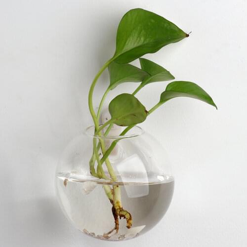 Wall Mount Hanging Fish Tank Aquarium Acrylic Fish Bowl Home Decor Creative Gift