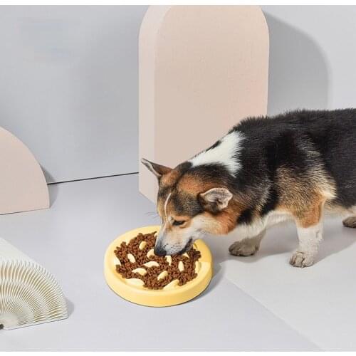 Dog Feeder Drinking Bowls for Dogs Cats Pet Food Bowl Comedero Perro Miska Dla Psa Gamelle Chien Chat Voerbak Hond