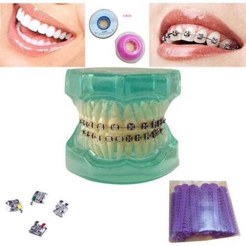 Oral Care Tooth Odontologia Equipamento Ortodoncia Tool Dental Teeth Model Metal Braces Mini Roth CeramicBrackets Lab Instrument