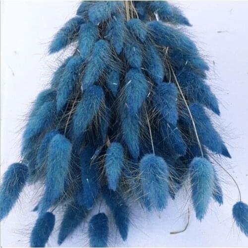 Artificial Pot Blue Cotton Grass-Dry flower-Lagurus decoration artificial flower искусственный цветок