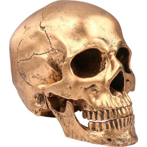 Halloween Skull Realistic Looking Skull Human Skeleton Skull Resin Model Resin Skull Human Skull Model Halloween Party Supplies