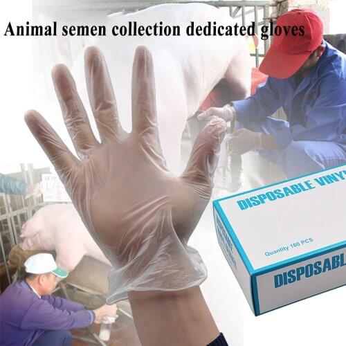 10pcs pet artificial insemination sperm collection disposable vinyl gloves pig cattle cow sheep farming veterinary tools device