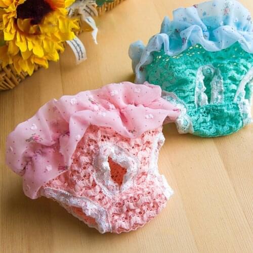 AHUAPET Female Dog Physiological Sanitary Pants For Pet Bitch Dog Underwear Panties Diapers For Big dogs Lace Jumpsuit For Dog E