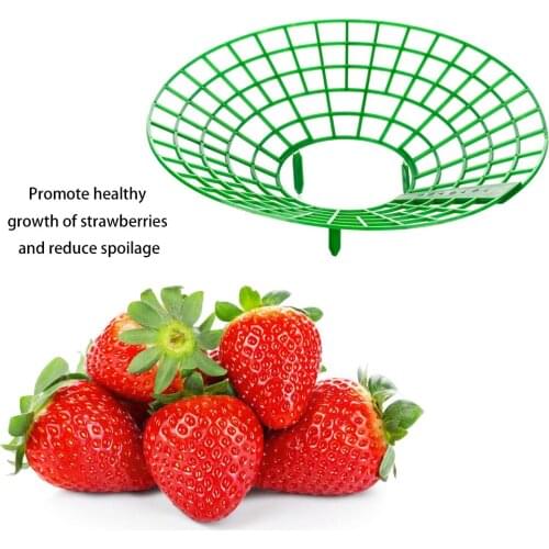 Plastic Support Plant Stand Climbing Frame Support Frame Strawberry Stand