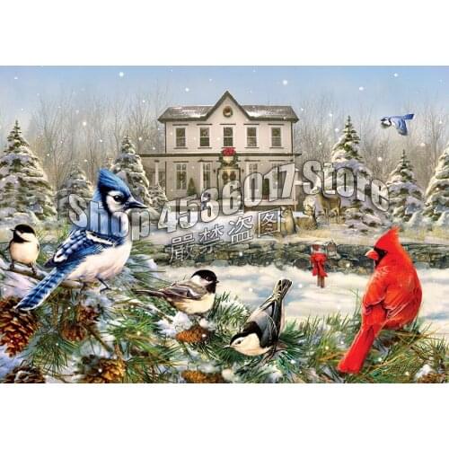 5D DIY Diamond Embroidery Country House Birds Winter Diamond Mosaic Full Drills Diamond Painting Kit Home Decor Gift Christmas