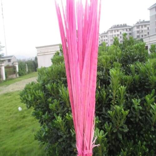 Heat! 50pcs / lot pink color pheasant tail feathers 16-18 inches / 40-45 cm Wedding stage decoration