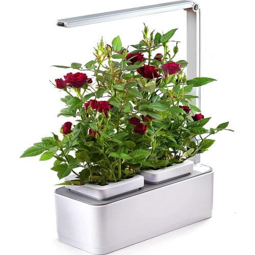 Hydroponic Growing System,Indoor Herb Garden Kit with Grow Light, Smart Garden for Home and Kitchen, Indoor Plant Growing System