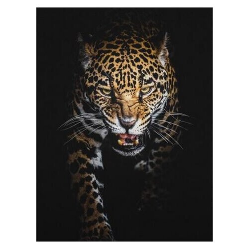 Hunting Cheetah Single Vintage Art Film Print Silk Poster Home Wall Decor 24x36inch
