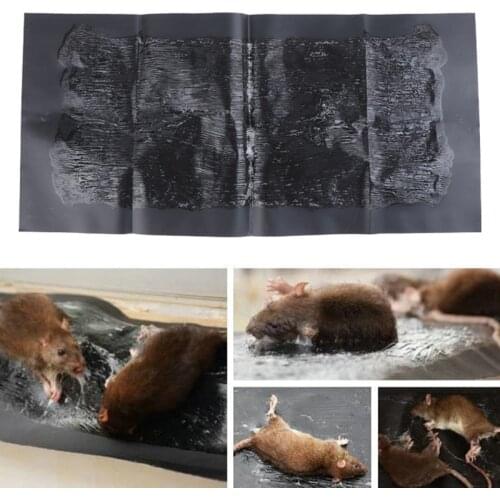 JETTING Rodent Traps China