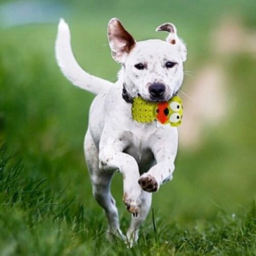 Animal Dog Pig Shape Pet Dog Toys Rubber Sound Squeaker Chew Toys Pet Playing Toys Pet Supplies