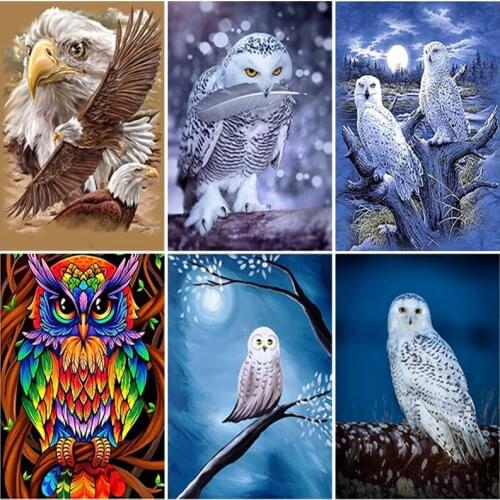 DIY Owl 5D Diamond Painting Full Square/Round Drill Resin Animal Diamont Embroidery Mosaic Cross Stitch Home Decor Wall Art