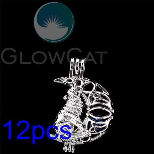 Moon Wolf Pearl Cage Essential Oil Diffuser Beads Cage Locket Pendant For Oyster 12x R-K1165