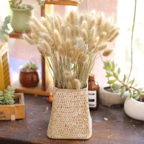 1 Bunch 30pcs Natural Dried Flowers Rabbit Tail Bouquet Grass Photography Props Bouquet Home Decoration Accessories