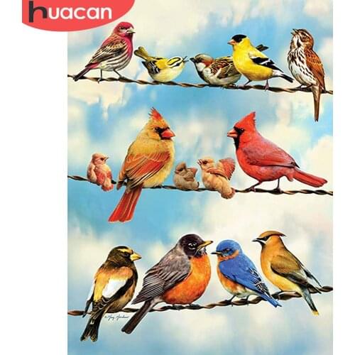 HUACAN 5D DIY Diamond Painting Bird Rhinestones Diamond Embroidery Sale Animal Mosaic Cross Stitch Decor For Home