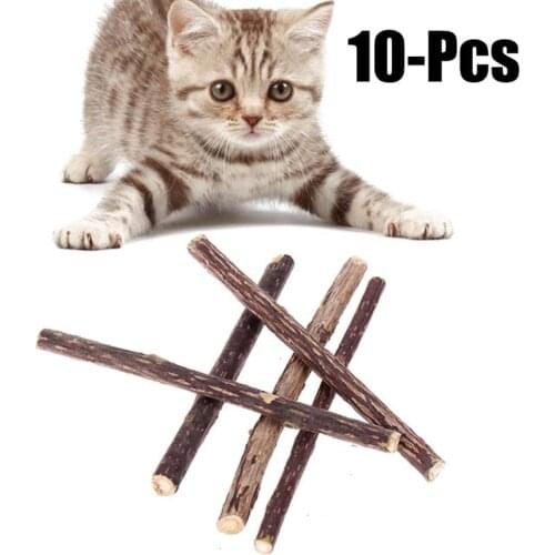 20Pcs Cat Cleaning Teeth Pure Natural Catnip Stick Pet Cat Molar Toothpaste Actinidia Fruit Matatabi Cat Snacks