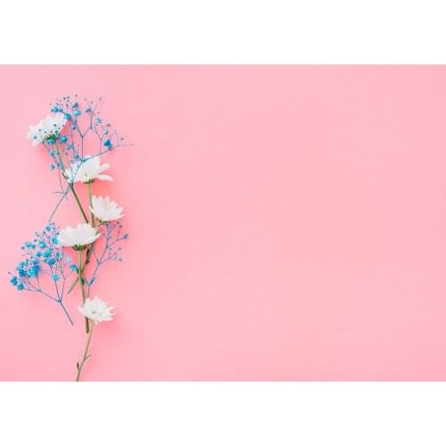 Pink Board Photography Background Flower Backdrop Portrait For Photograph Accessories Perfume Vinyl Cloth Backdrops Photo Studio