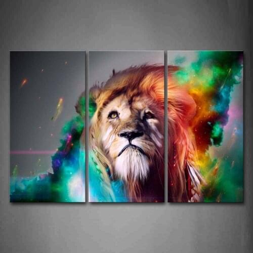 3 Panel Abstract Colorful Lion Animal Gift Posters HD Print Canvas Wall Art Pictures Paintings Home Decor Living Room Decoration