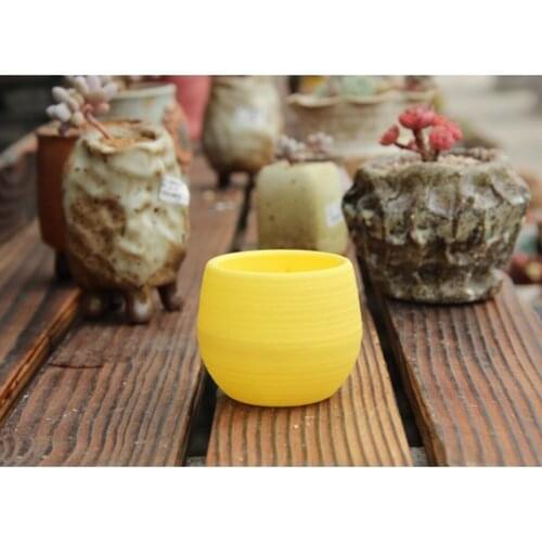 Small Succulent Planter Vase Cactus Planter with Drainage Indoor Decorative