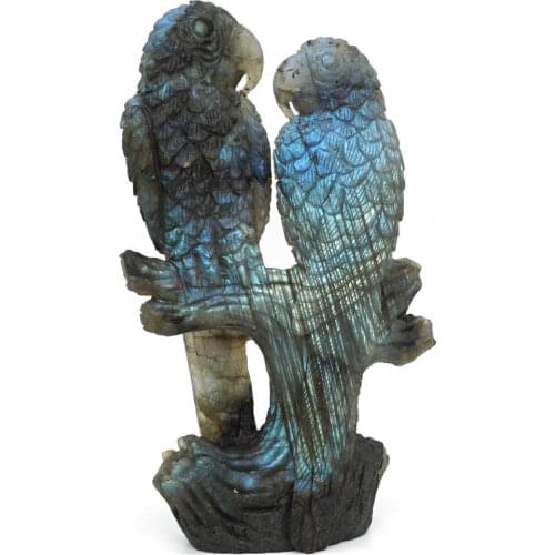 5.9""Flash Labradorite Two Parrot Crystal Healing Reiki Home Office Dector