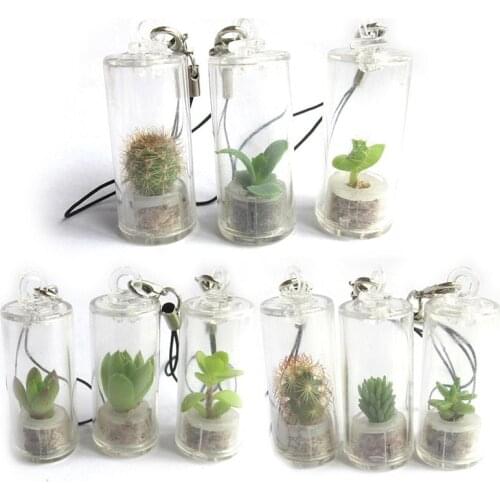 Random Mini Plant Vases Pendant Plastic Simulation Succulent Glass Cover Pendant Craft Gifts Home Car Decoration Accessories