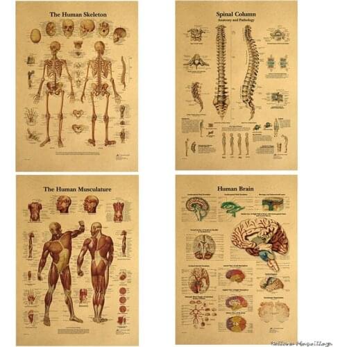 Human Body Illustration-Skeleton Vintage Poster on Kraft Paper Classroom Museum Decorative Painting
