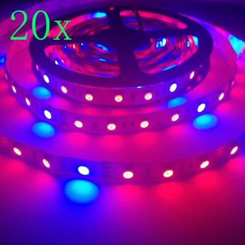 FREE DHL 100m/lot 5050 Grow LED Flexible Strip Red Blue 4:1 For Aquarium Greenhouse Hydroponic Flowers Veg Plant Grow light
