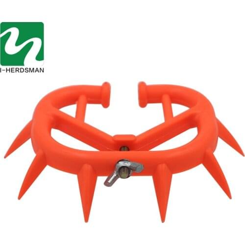 10 Pcs Cattle Beef Nose Thorns Durable Clip Weaned Calf Weaning Prevent Feeding Milk Stop Eating Milk Anti Sucking Milking