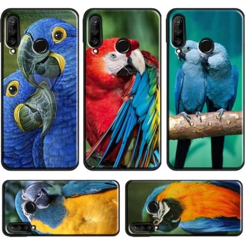 Macaw Parrot Colourful Case For Huawei P30 Pro P40 P20 Lite Mate 20 Lite P Smart 2019 Z Honor 10 i 8X 9X Nova 5T
