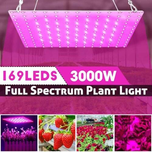 169LED 3000W LED Grow Light Full Spectrum LED Plant Grow Light Veg Bloom Lamp Indoor Plant Growing Light Greenhouse AC85-265V