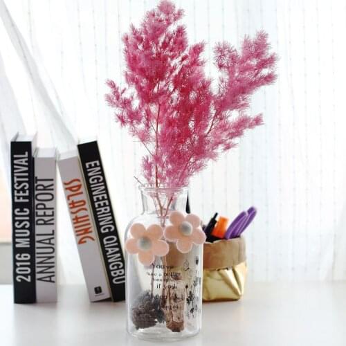 High Quality Natural Plantas Preserved Flores Peng Lai Song Dried Flower Photo Props DIY Home Party Decoration Accessories