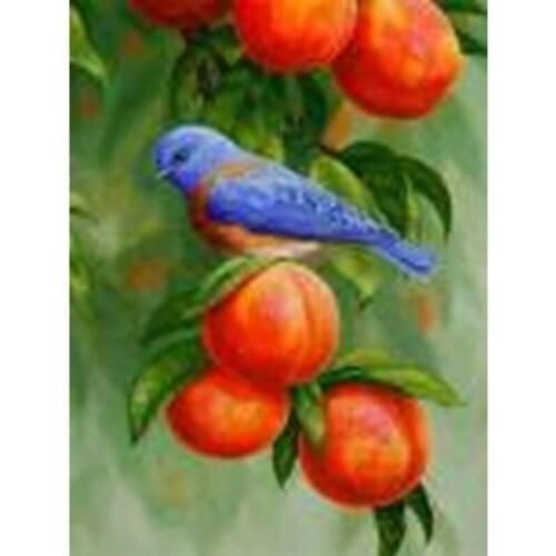 SNA Blue Bird DIY Crystal Full 5D Plastic Diamond Painting Cross Stitch Kit Art 3D Mosaic Square Rhinestone