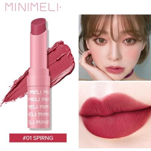 New 12 Colors Lipstick Stain Long-lasting Moisturization Makeup Color-preserving lipstick Waterproof Matte Color Lipstick