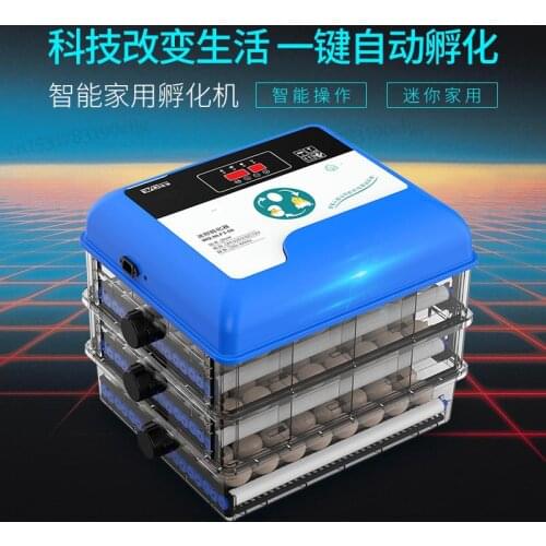 Weizhen Water Bed Incubator Household Incubator Automatic Small Egg Incubator Intelligent Chicken Incubator