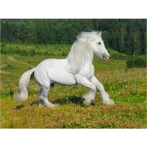 5d diamond painting white horse full square diamond mosaic animal crafts embroidery home decoration