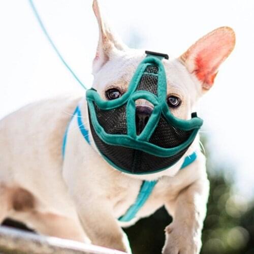 Short Snout Pet Dog Muzzles Adjustable Mask Outdoor Stop Barking Breathable Mesh Muzzle For French Bulldog Pug Pekingese