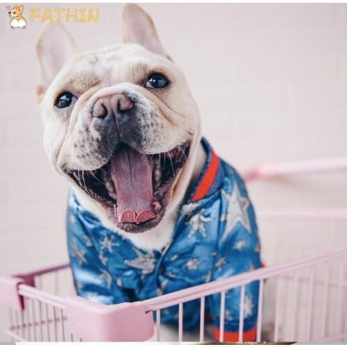 FATHIN French Bulldog Clothes Dog Hoodie Luxurious Adidog Warm Sport Retro Dog Hoodies Pet Clothes S-XL