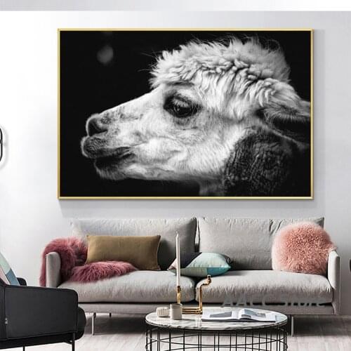 The Llama Portrait Canvas Painting Black And White Photography Cuadros for Wall Art Picture Room Home Decor Poster and Prints