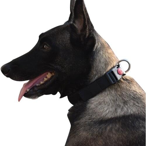 Tactical Dog Collar with Safety Locking Buckle Adjustable Nylon D-Ring with magic sticker ID panel for working k9 dog