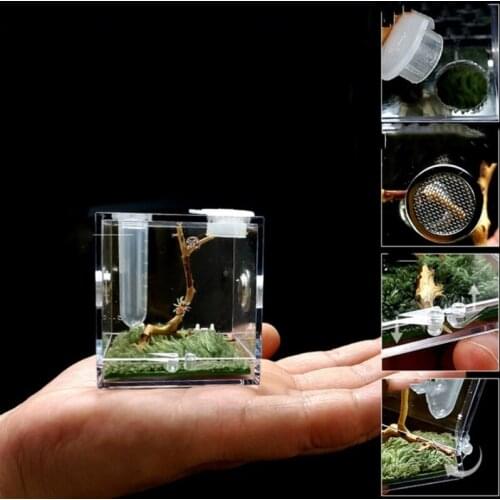 Spider Habitat Feeding Cage Nano Breeding Box for Spiders Grasshopper Cricket Scorpions Mantis Beetle and Small Reptile