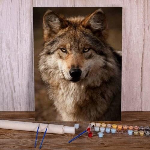 Animal Wolf Painting By Numbers Set Oil Paints 50*70 Boards By Numbers New Design For Kids Wholesale For Handicraft