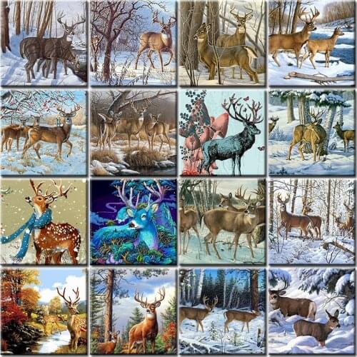 Oil Painting By Numbers Coloring On Canvas For Adult Paint Diy With Frame Animal Drawing Picture By Number Decoration Wall Kits