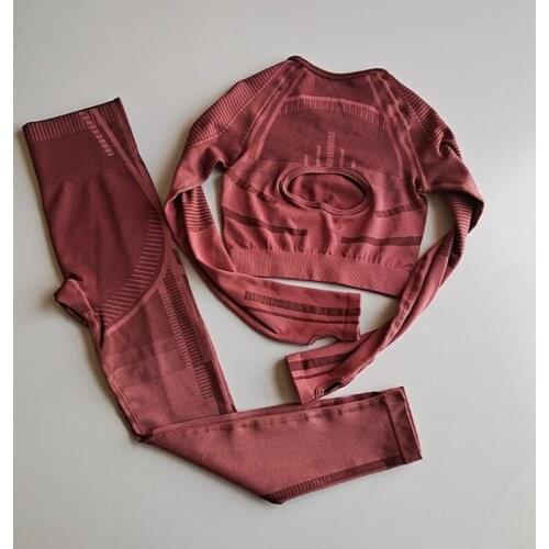 2020 Women Mesh Ombre Seamless yoga set Fitness Sport Suits GYM Yoga Long Sleeve top High Waist Ombre Leggings Workout clothing