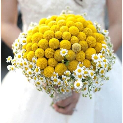 Yellow Billy Ball and White Small Daisy Dried Flowers Bouquet Wedding Bride Decorative Flowers for Home Decoration indoor